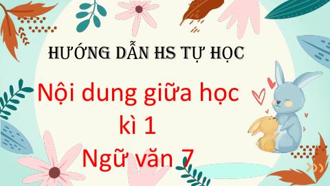 Đề cương ôn tập Giữa kì 1 Ngữ văn 7 năm 2025–2026 trường THCS Lê Anh Xuân (TP Hồ Chí Minh)